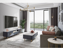 Modern Simple Light Luxury Style Living Room TV Cabinet Tea Table Combination Furniture TV Stand