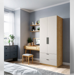 Simple Modern home furniture Bedroom Storage Two Door Combination Sliding Door WardrobeSimple Modern home furniture Bedroom Storage Two Door Combination Sliding Door Wardrobe