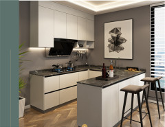 Modern Contracted Integral Ambry Custom Kitchen Countertop Ambry Integral Ambry Kitchen Cabinet