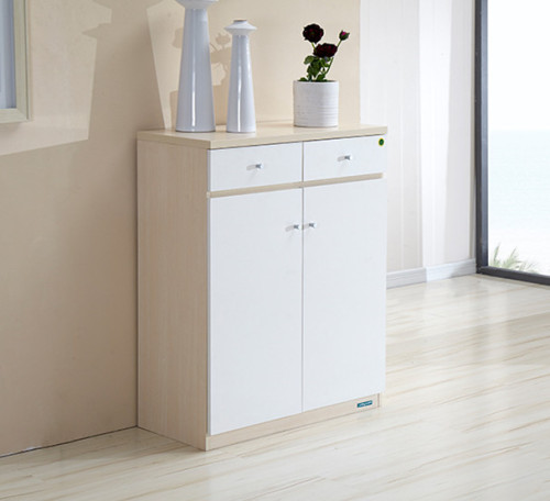 Modern Simple Two-Door Porch Shoe Cabinet Opposite Door Dustproof Shoe Rack Household Shoe Cabinet Shoe Rack