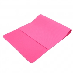 Gym Equipment Anti-Slip Fitness Exercise Gym Home Custom Printed TPE Foam Two Color Yoga Mat