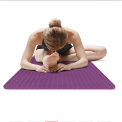 Gym Equipment Anti-Slip Fitness Exercise Gym Home Custom Printed TPE Foam Two Color Yoga Mat