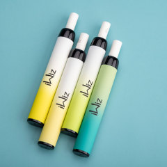 iWiz Disposable Vape Pen with Filter 500 Puffs