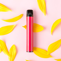 500 Puffs Disposable Vape e-Cigs 400mAh 2ml