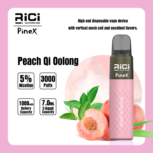 PineX Didsposable Vape Device 3000 Puffs with Vertical Mesh Coil