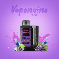 Vapengin Disposable Pod Device 5500 Puffs