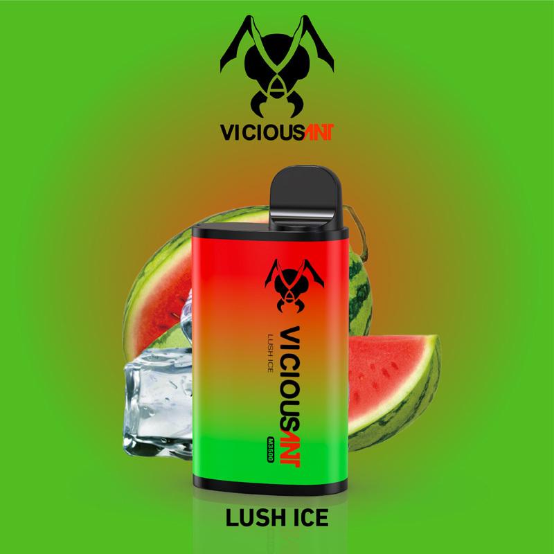 Vicious Ant Box Kit 3500 Puffs with Mesh Coil