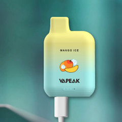 Vapeak Grand 5000 Puffs Disposable Box Device