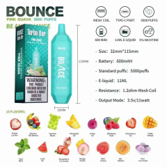 Bounce Turbo 5000 Puffs Disposable Vape Device