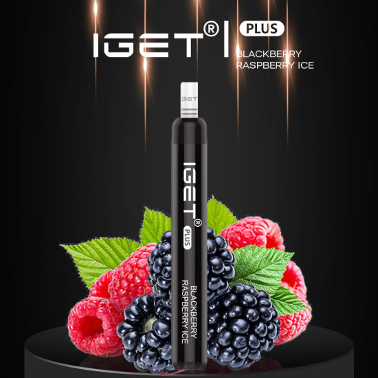 IGET Plus 1200 Puffs Vape Pen