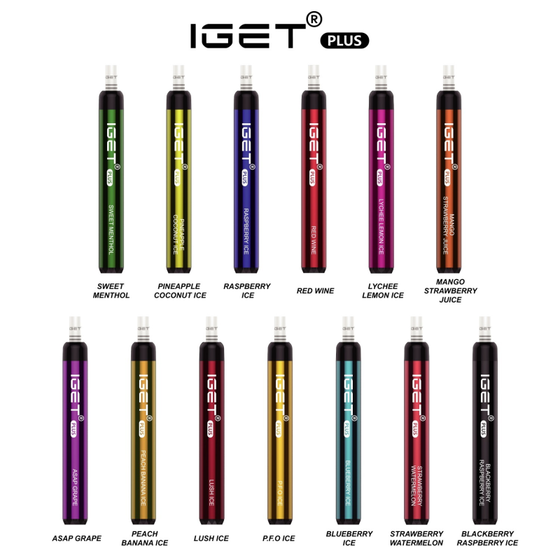 IGET Plus 1200 Puffs Vape Pen