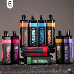Bmor Singa Disposable Pod Device 6000 Puffs