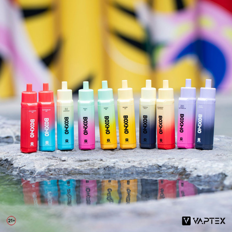 Vaptex Boxmo 5000 Puffs e-Vapor Rechargeable Devices