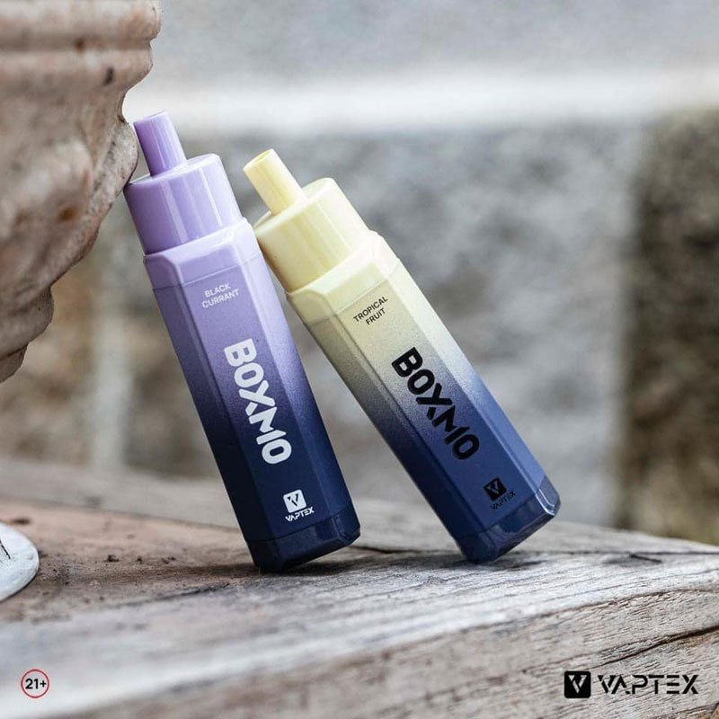 Vaptex Boxmo 5000 Puffs e-Vapor Rechargeable Devices