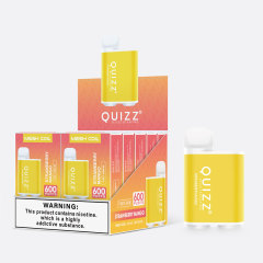 Quizz 600 Puffs Disposable Box Vape 2ml TPD