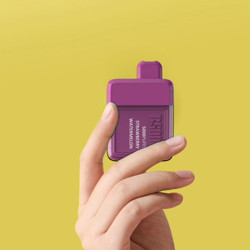 Vapeman B5000 Disposable Device