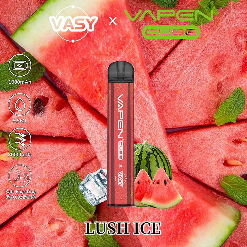 VASY VAPEN CUBE 3000 Puffs Disposable Vape Pen