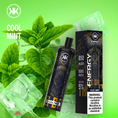 KK Energy 5000 Puffs Rechargeable Disposable Vape