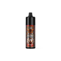 KK Energy DTL Disposable Vape Bar 5000 Puffs