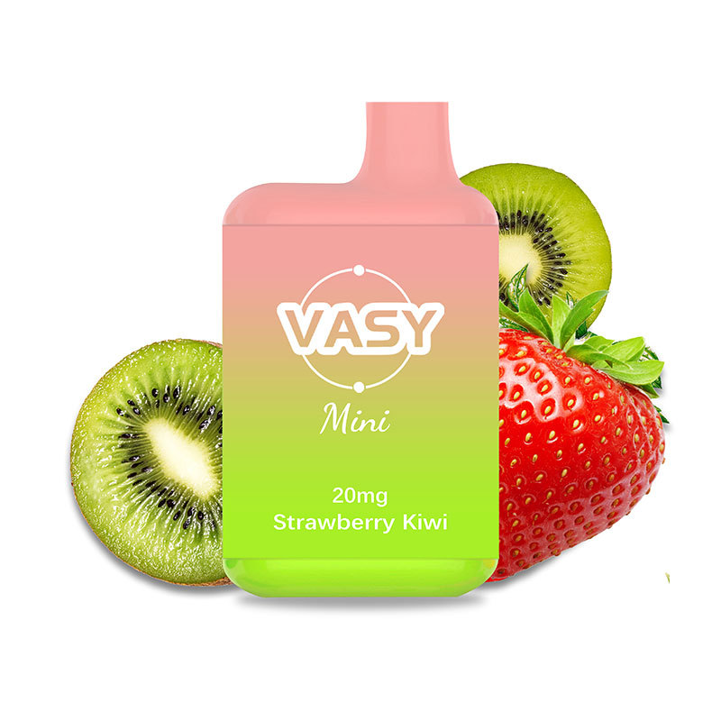 VASY Mini 600 Puffs Disposable Pod Device TPD Approved