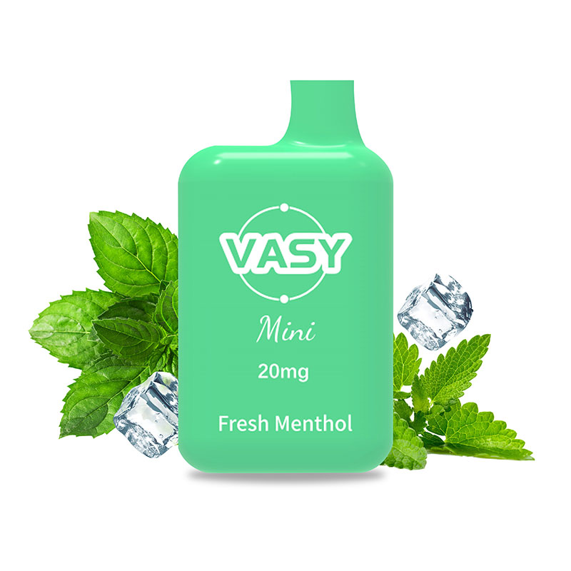 VASY Mini 600 Puffs Disposable Pod Device TPD Approved