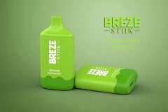 BREZE STIIK BS6500 Vape Disposable Device