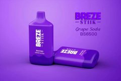 BREZE STIIK BS6500 Vape Disposable Device