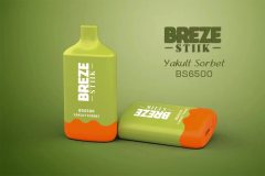 BREZE STIIK BS6500 Vape Disposable Device