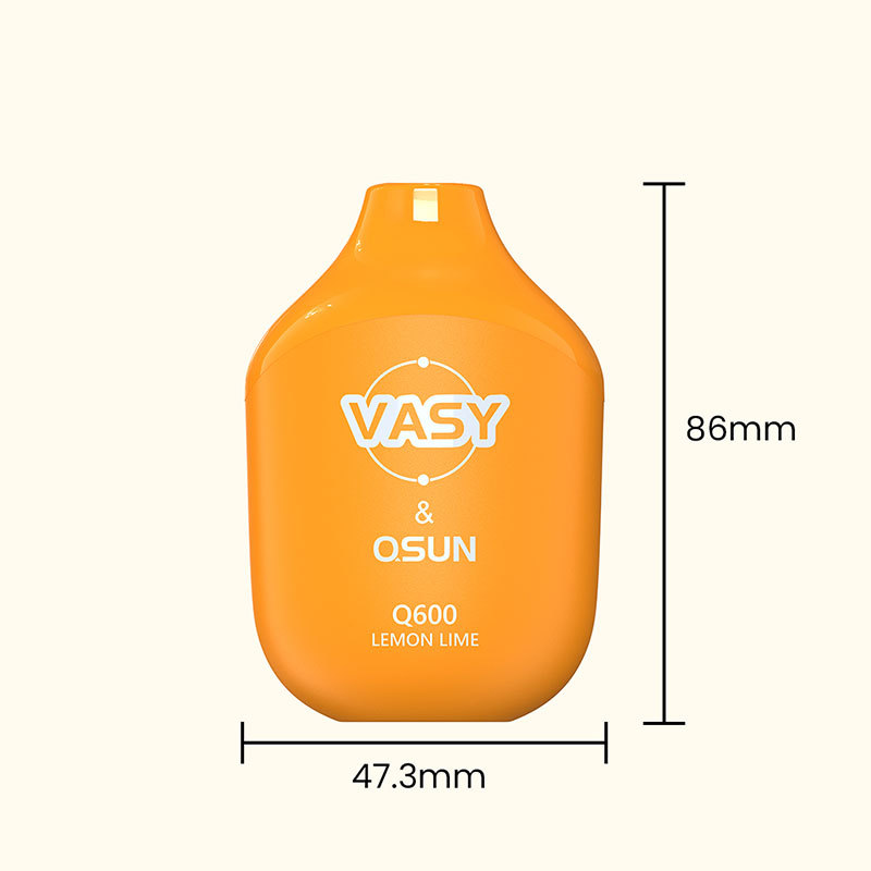 VASY Q600 Disposable Vape 600 Puffs