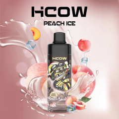 HCOW RF10000 Disposable Vape 10000 Puffs Refillable