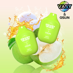 VASY & QSUN Q800 Disposable Vape 2ml 800 Puffs TPD