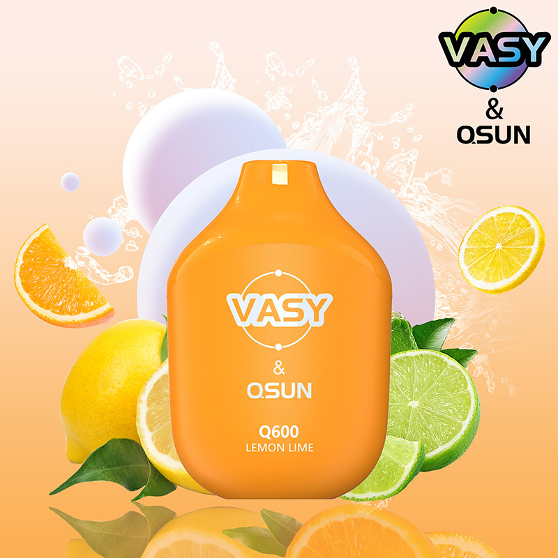 VASY Q600 Disposable Vape 600 Puffs