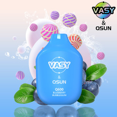 VASY Q600 Disposable Vape 600 Puffs