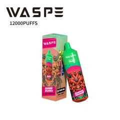 WASPE 12000 Puffs Disposable Vape Pen