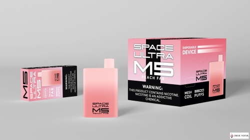 Space Ultra M5 Rechargeable Disposable