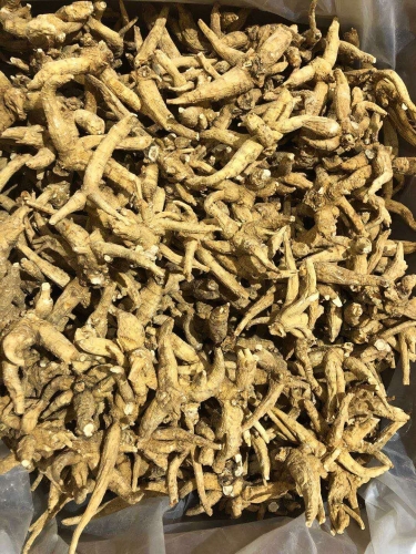 5-Year Canadian Ginseng