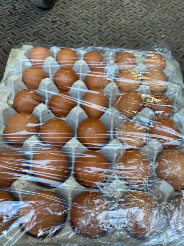 农场鸡蛋每盘30粒 每箱6盘 按箱发 两种颜色 随机发货