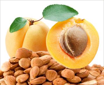 Organic Apricot Seeds 1lb