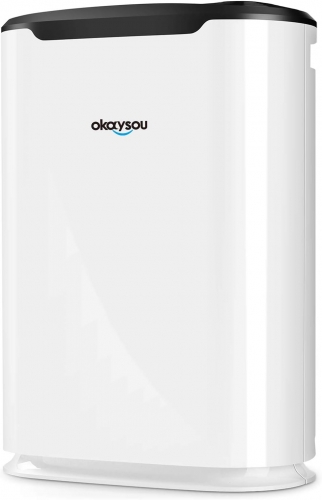 Okaysou Air Purifier with Washable Ultra-Duo 2 Filters, H13 True HEPA, 5-in-1 Cleaner Odor Eliminators for Pets Smokers Dust Pollen VOCs for Large Roo