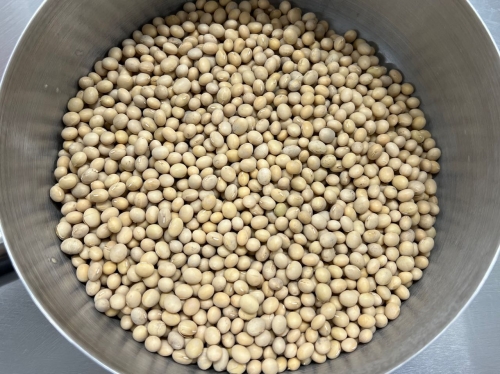 Non-GMO Soybean 5lb
