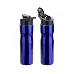 Insulated Water Bottle