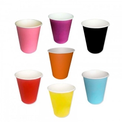 12 oz Insulated Paper Cup