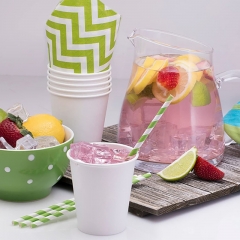 9oz Disposable paper cups