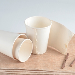 8 oz Insulated Paper Cup