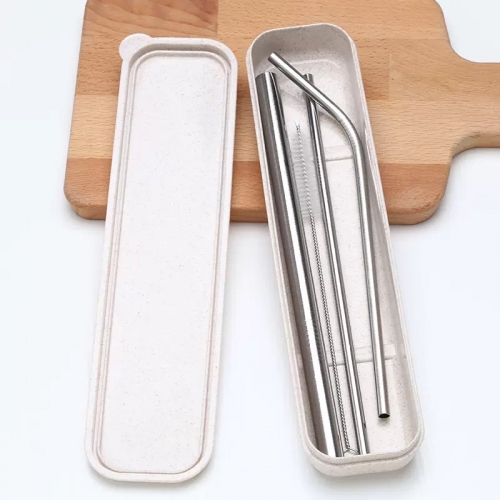 Stainless Steel Straw