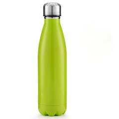 17 oz Stainless Steel Bottle