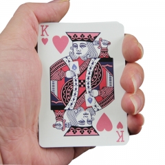 Playing Cards In Case