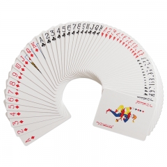 Playing Cards In Case