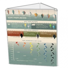 3 Sides Triangle Table Tent Marketing Holder