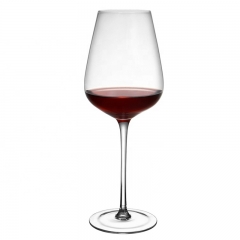 16oz. Acrylic Wine Glass